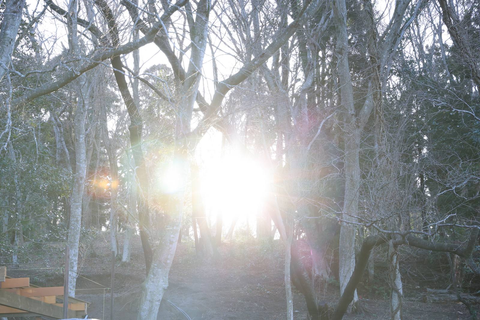 みんなの里山キャンプ場の外観